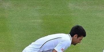 成人能做劈叉吗视频,成人也能轻松做到的神奇动作