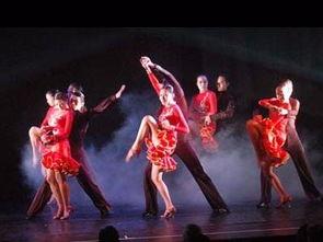 成人国粹舞蹈视频大全,成人国粹舞蹈视频大全赏析