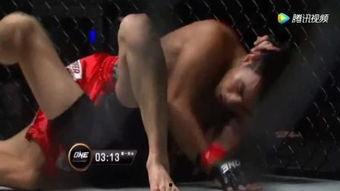 成人散打入门视频教学,跟随视频教程，轻松掌握基础技巧