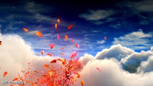 倾斜桌面成人动画视频,探索现代视觉艺术的新境界