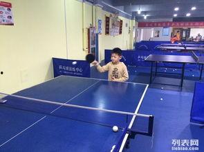 成人乒乓球打法教学视频,成人乒乓球打法教学视频精华解析