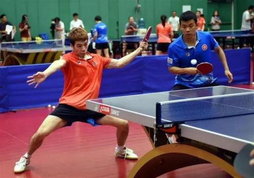 成人乒乓球打法教学视频,成人乒乓球打法教学视频精华解析