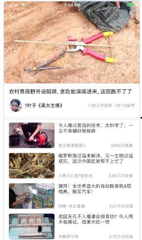 苦瓜视频APP成人,成人世界的精彩纷呈