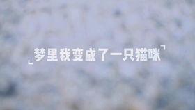 滑板成人炫酷视频,尽享极限运动风采