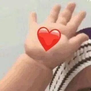 滑板成人炫酷视频,尽享极限运动风采