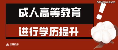 成人学历提升真实视频,真实视频背后的故事与启示