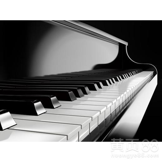 成人钢琴选曲技巧视频,成人钢琴学习者必看选曲技巧揭秘