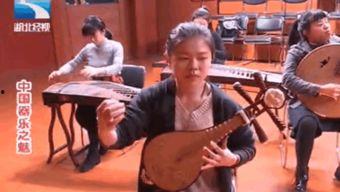 乐器合奏成人搞笑视频,搞笑视频里的欢乐交响曲