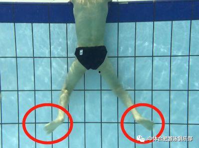 成人靠背蹬子视频,健身器材新宠,高效塑形秘籍