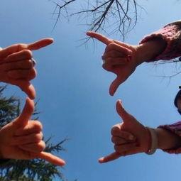 春节成人手势舞视频大全,手势舞动——春节成人手势舞视频大全集锦