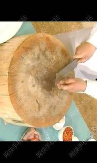 成人烹饪视频教程大全