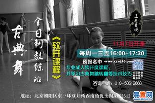 成人软开课程视频,视频内容深度解析