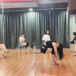 成人女士琵琶舞视频教学