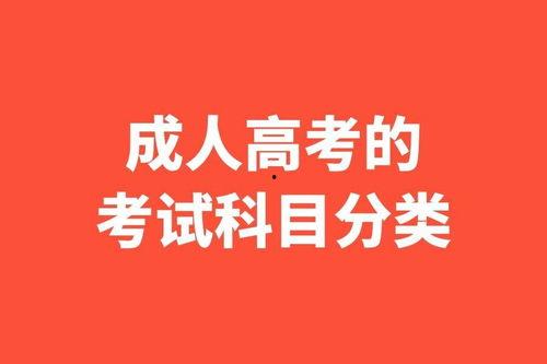 成人高考的视频课程