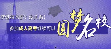 成人高考的视频课程
