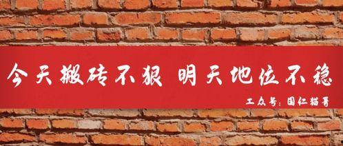 成人懒人爬架教程视频,跟随教程视频轻松掌握成人爬架技巧