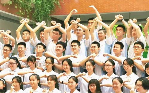 武汉成人旱冰教学视频,轻松入门,畅享滑行乐趣