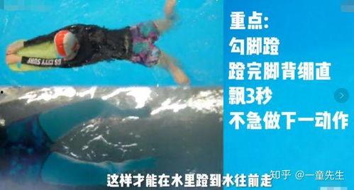 成人游泳怎么自学视频,成人零基础入门指南